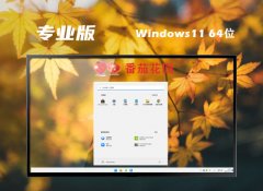 <font color='#CC0000'>ѻ԰win1164λv2025.05</font>