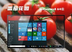 ѻ԰64λwin8.1Ӣİv2025.05