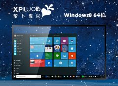 ܲ԰win8.1 64λ ⼤羺v2025.05