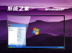 ϵͳ֮ghost XP3µذv2025.05